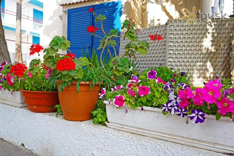Фото отеля Green Bungalows Hotel Apartments 4* Айя Напа Кипр экстерьер и бассейны