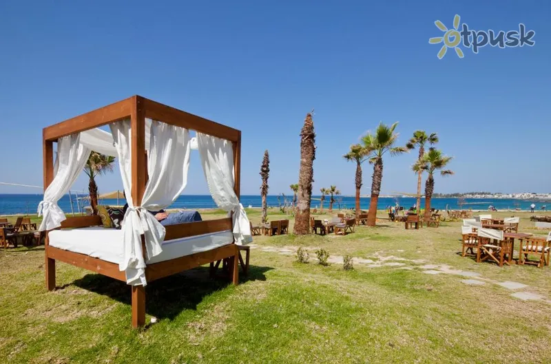 Фото отеля Amphora Hotel & Suites 4* Пафос Кипр