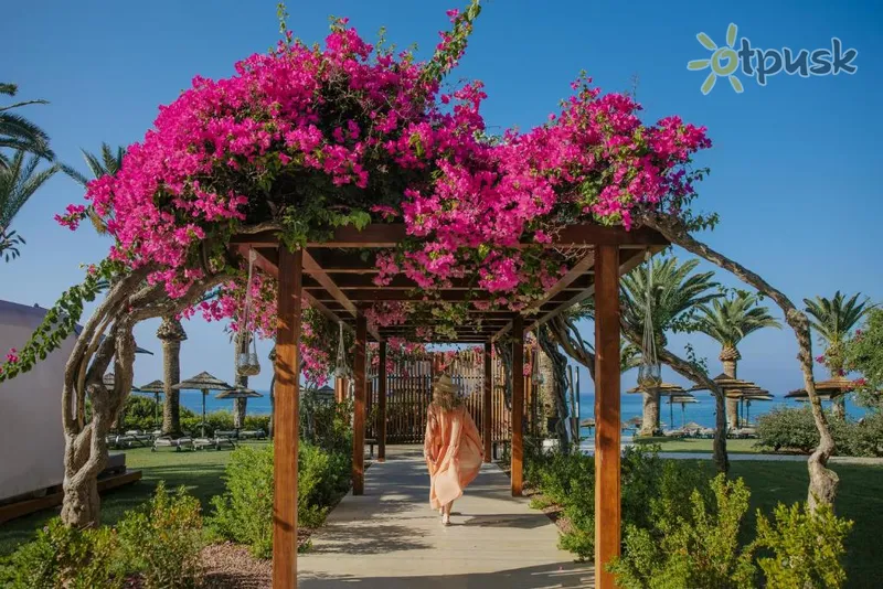 Фото отеля Alion Beach Hotel 5* Айя Напа Кипр экстерьер и бассейны