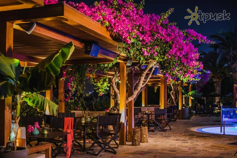 Фото отеля Alion Beach Hotel 5* Айя Напа Кипр экстерьер и бассейны