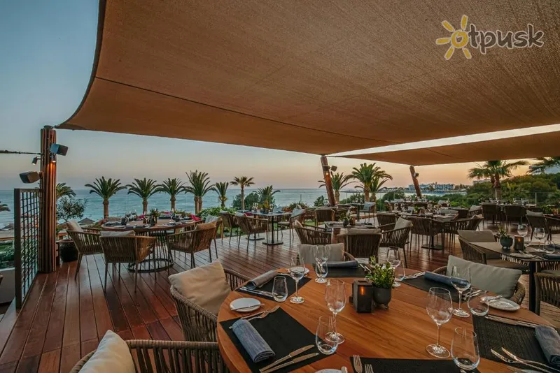 Фото отеля Alion Beach Hotel 5* Айя Напа Кипр бары и рестораны