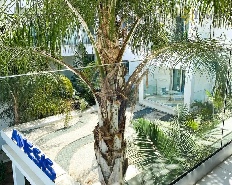 Фото отеля Anesis Hotel 3* Айя Напа Кіпр екстер'єр та басейни