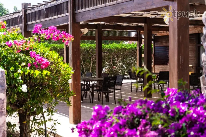Фото отеля Abu Dabbab Lodge 3* Марса Алам Египет экстерьер и бассейны