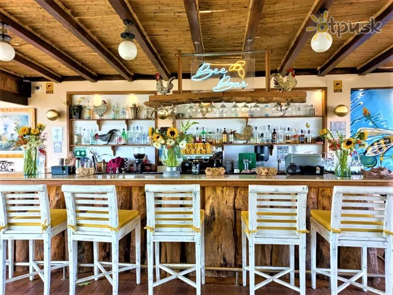 Фото отеля 12 Bees Hotel 3* Плая дель Кармен Мексика
