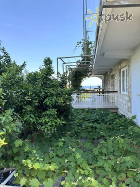 Фото отеля Andro Villa 3* Бечичи Черногория
