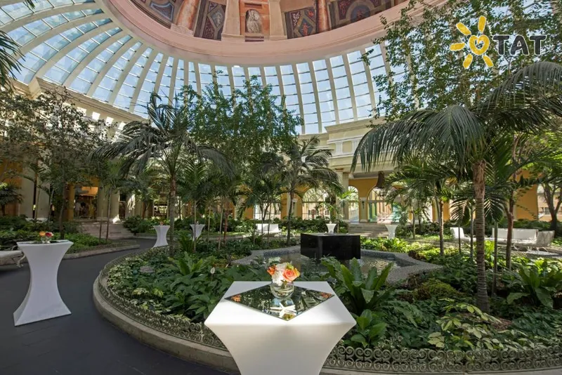 Фото отеля JOIA Paraiso by Iberostar 5* Ривьера Майя Мексика