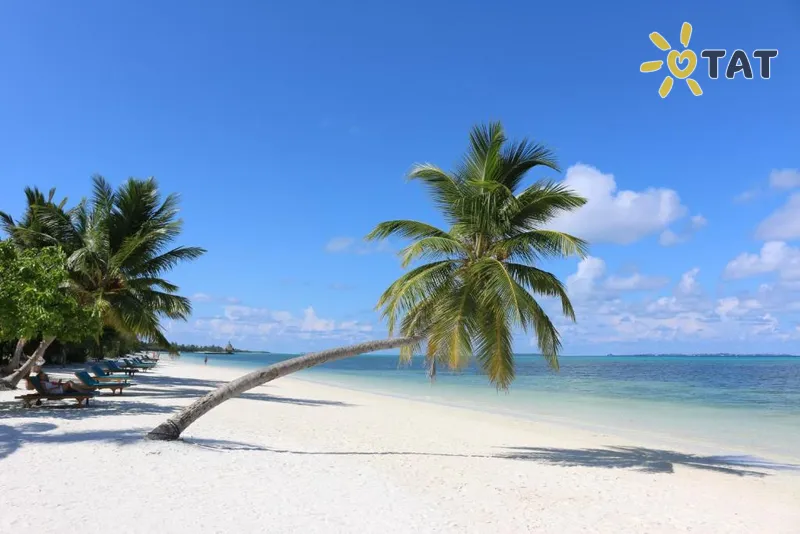 Фото отеля Canareef Resort Maldives 4* Адду Атолл Мальдивы