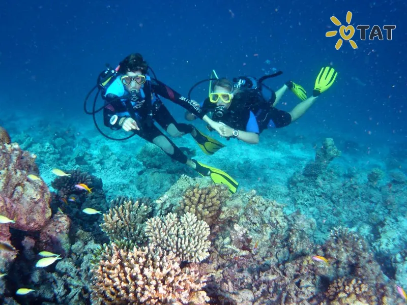 Фото отеля Canareef Resort Maldives 4* Адду Атолл Мальдивы