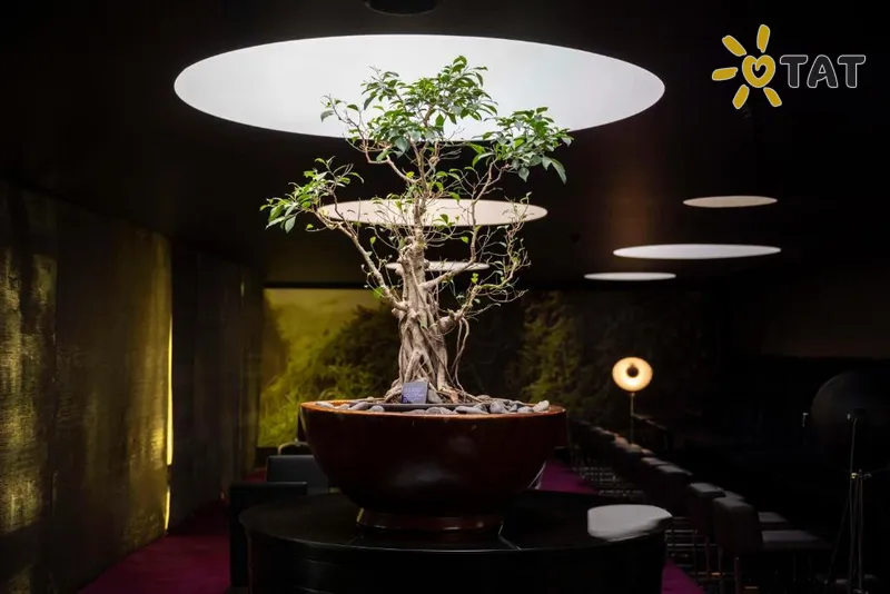 Фото отеля DoubleTree by Hilton Lisbon Fontana Park 4* Лиссабон Португалия