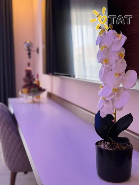 Фото отеля Club Robin Hood Hotel 4* Алания Турция