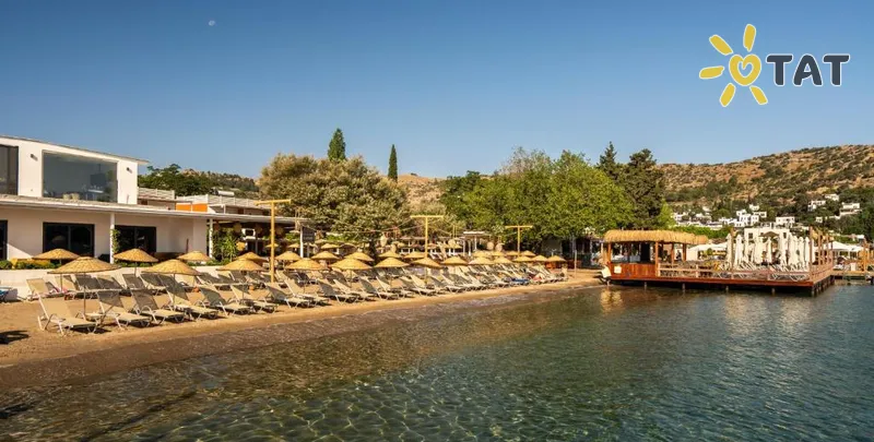 Фото отеля Daphnis Hotel 4* Бодрум Турция