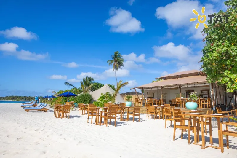 Фото отеля The Maverick Surf & Dive Lodge 3* Лааму Атолл Мальдивы экстерьер и бассейны