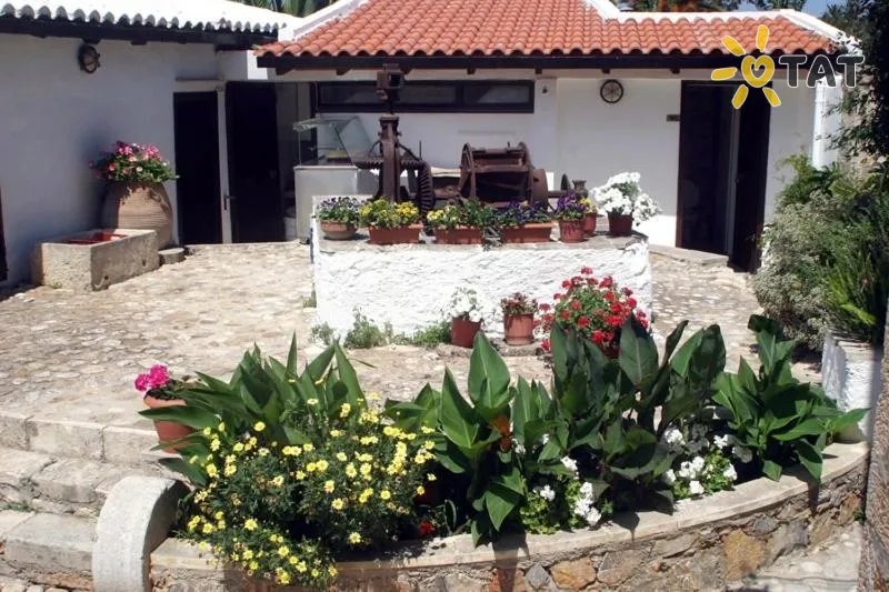 Фото отеля Oasis Guesthouse 2* par. Krēta – Hanija Grieķija ārpuse un baseini