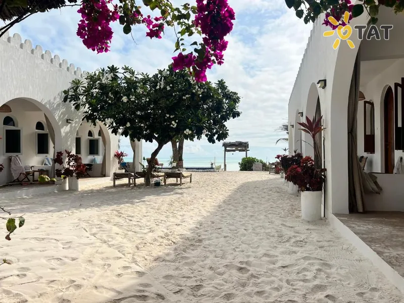 Фото отеля Coco Beach Hotel 3* Jambiani Tanzānija ārpuse un baseini