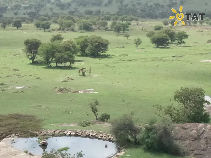 Фото отеля Lobo Wildlife Lodge 4* Serengeti Tanzanija išorė ir baseinai