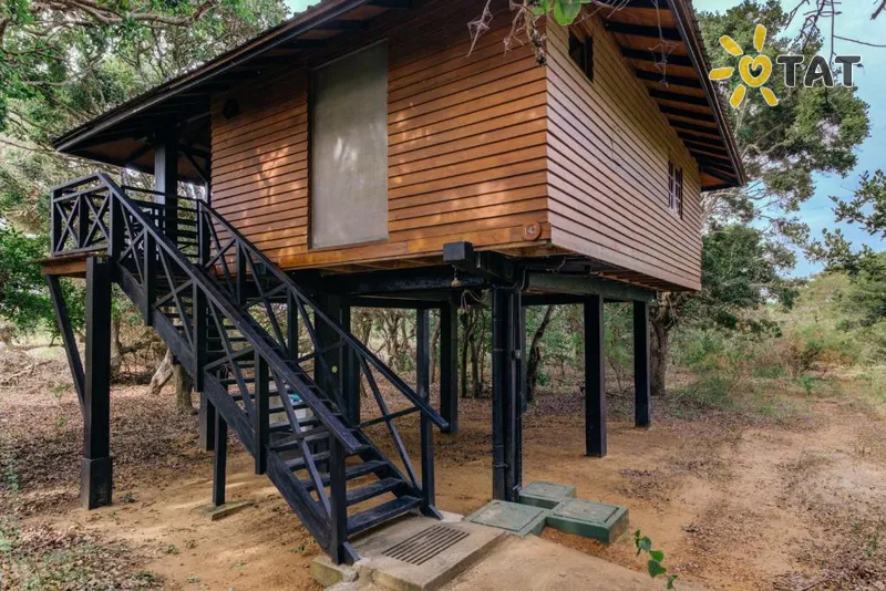 Фото отеля Cinnamon Wild Yala 4* Halle Šrilanka ārpuse un baseini