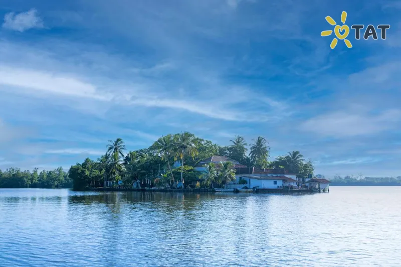 Фото отеля The Mangrove Cave Hotel 4* Косгода Шри-Ланка экстерьер и бассейны