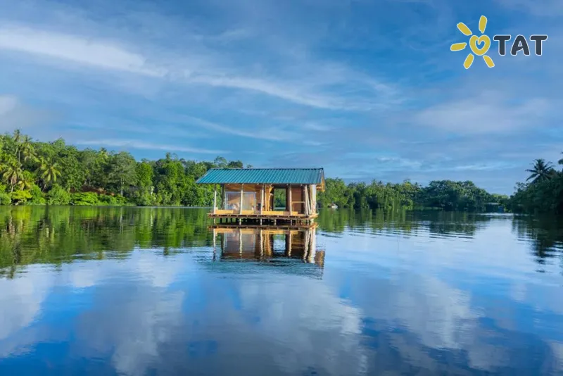 Фото отеля The Mangrove Cave Hotel 4* Косгода Шри-Ланка экстерьер и бассейны