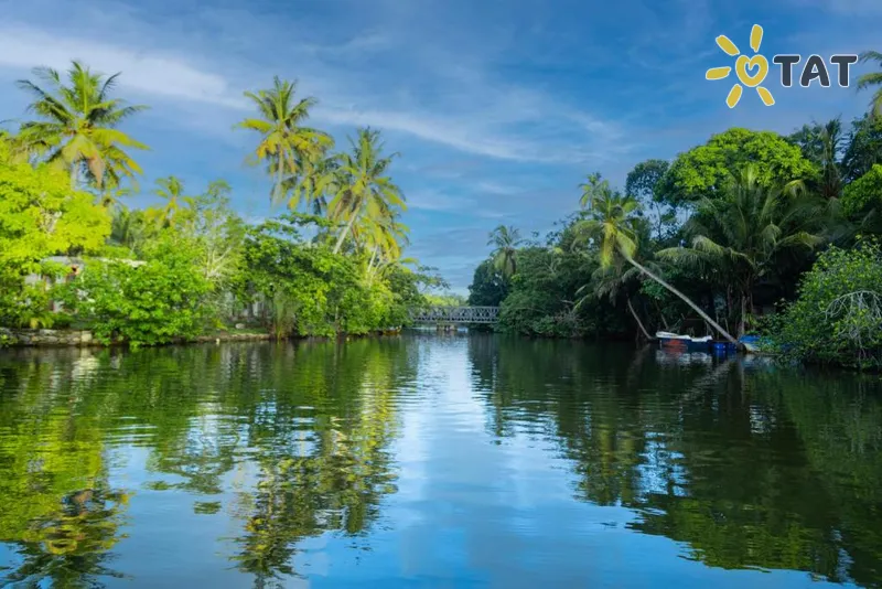 Фото отеля The Mangrove Cave Hotel 4* Косгода Шри-Ланка экстерьер и бассейны
