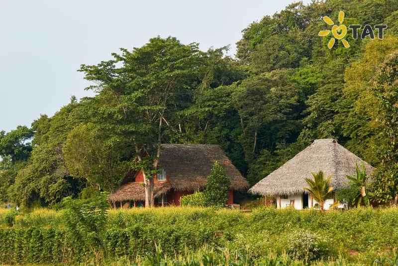 Фото отеля Amuna Ayurveda & Wellness Retreat 5* Kandis Šri Lanka išorė ir baseinai