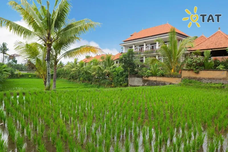 Фото отеля Kiskenda Cottages 3* Убуд (о. Бали) Индонезия экстерьер и бассейны