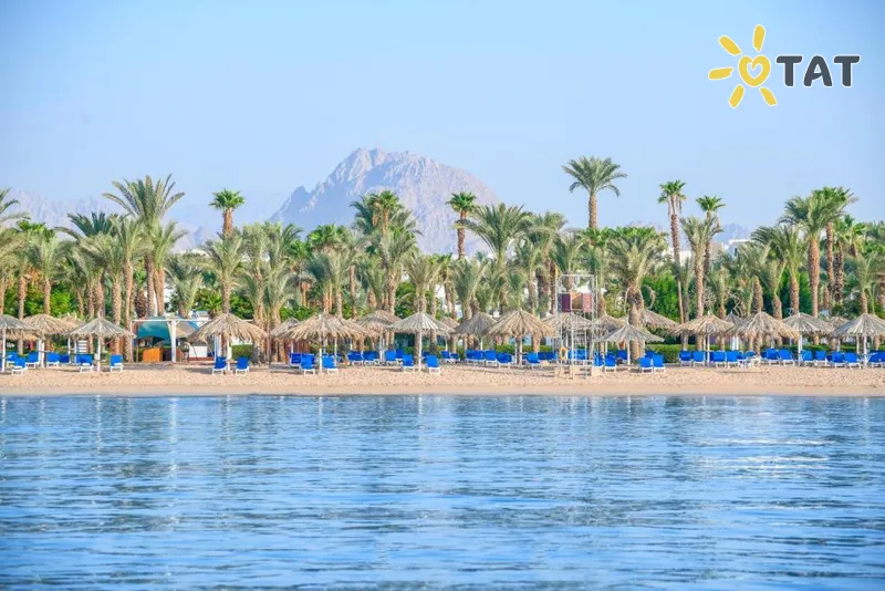 Фото отеля JAZ Sharm Dreams 5* Шарм эль Шейх Египет пляж