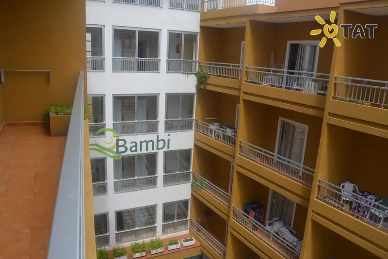 Фото отеля RF Bambi Apartamentos 2* о. Тенерифе (Канары) Испания экстерьер и бассейны