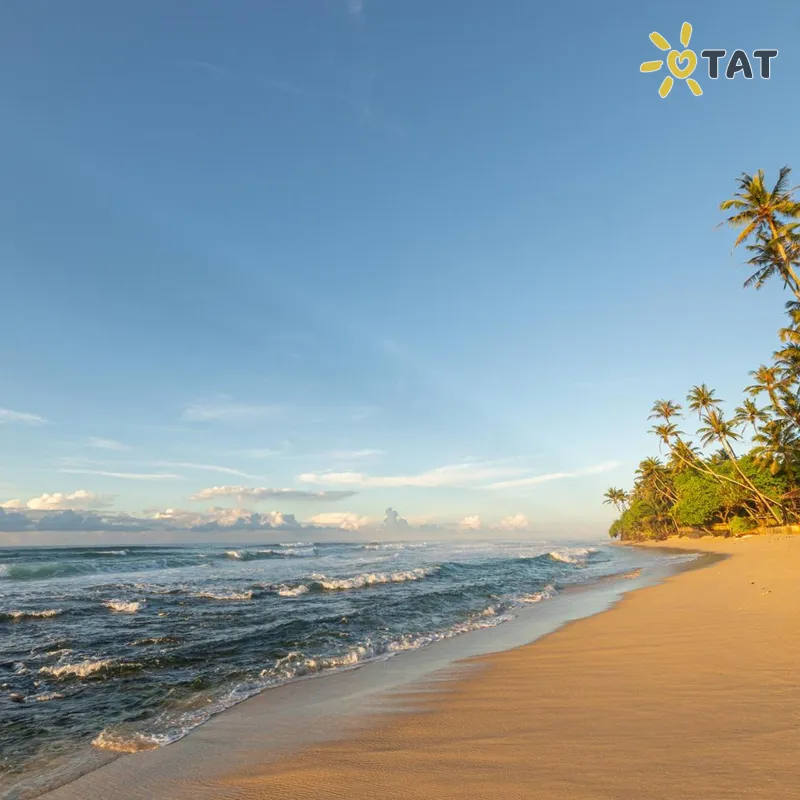 Фото отеля The Beach Talpe 4* Унаватуна Шри-Ланка пляж