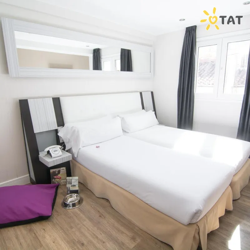 Фото отеля Petit Palace Arenal 3* Madridas Ispanija numeriai