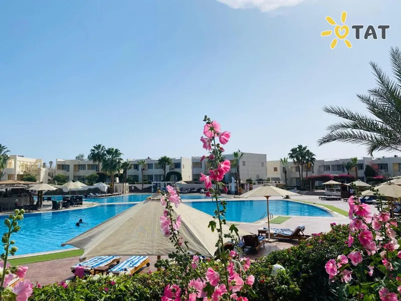 Фото отеля Sharm Reef Hotel 3* Šarm el Šeichas Egiptas išorė ir baseinai