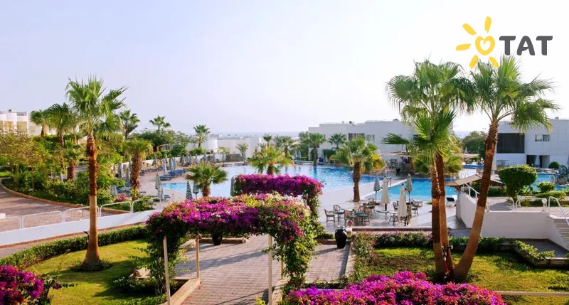 Фото отеля Sharm Reef Hotel 3* Šarm el Šeichas Egiptas išorė ir baseinai