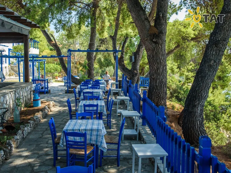 Фото отеля Virginia Hotel 3* Халкидики – Ситония Греция бары и рестораны