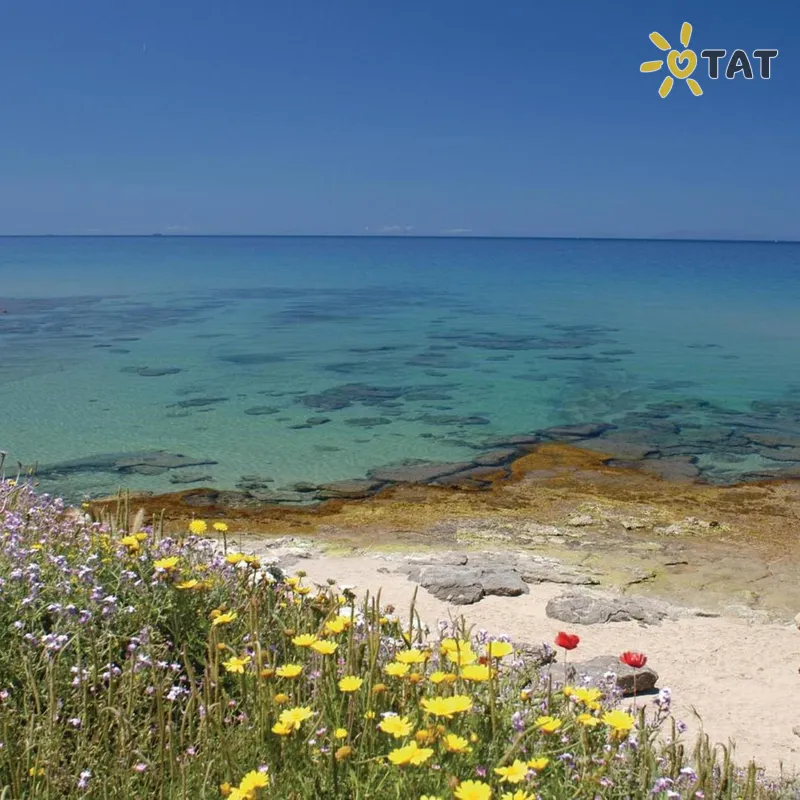 Фото отеля Stazzi di Gallura La Pietraia 3* о. Сардиния Италия пляж