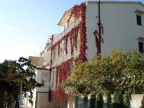 Тур в Ivanka Villa 3☆ Хорватия, Трогир