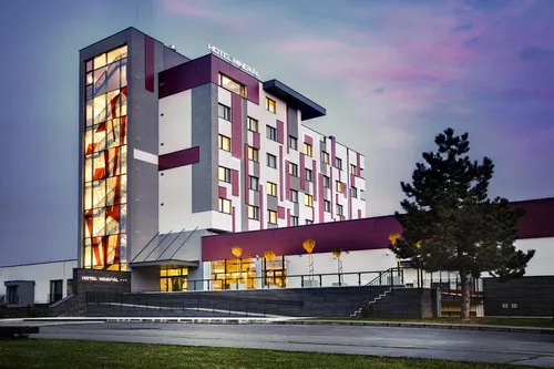 Mineral Hotel