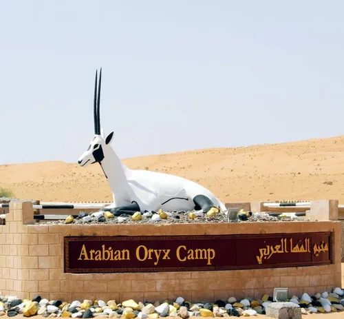 Горящий тур в Arabian Oryx Camp 3☆ Оман, Вахиба