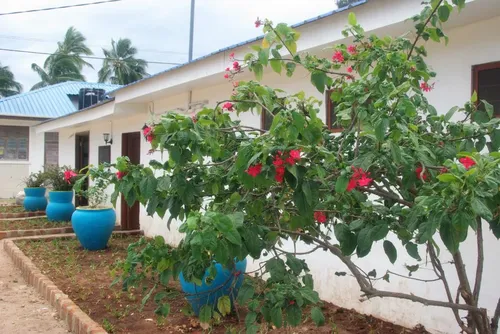 Nungwi House