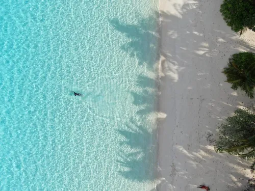 Тур в Shoreline Grand Thoddoo 4☆ Maldīvija, Ari (Alifu) atols