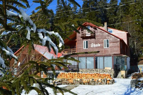 Тур в Shale Boutique Hotel 3☆ Грузия, Бакуриани