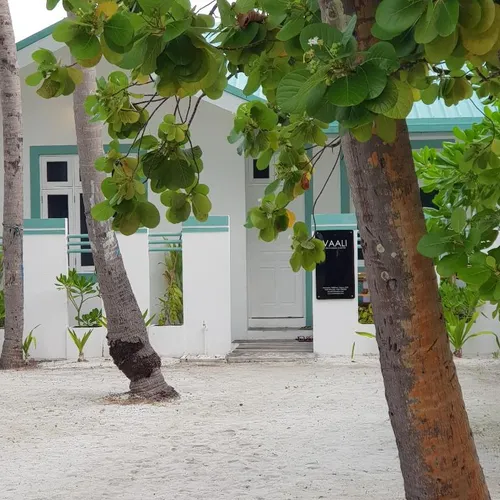 Paskutinės minutės kelionė в Vaali Beach & Dive Lodge 3☆ Maldyvai, Vaavu atolas
