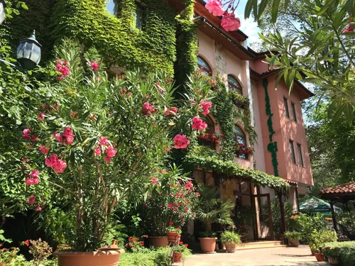 Oleander House and Tennis Club