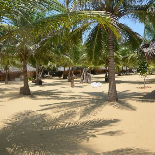 Dolphin Beach Resort