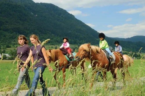 Bohinj Eco Hotel